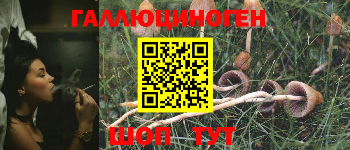 Галлюциногенные грибы GOLDEN TEACHER Абинск